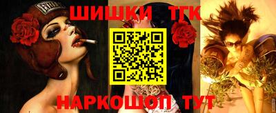 spice Абакан