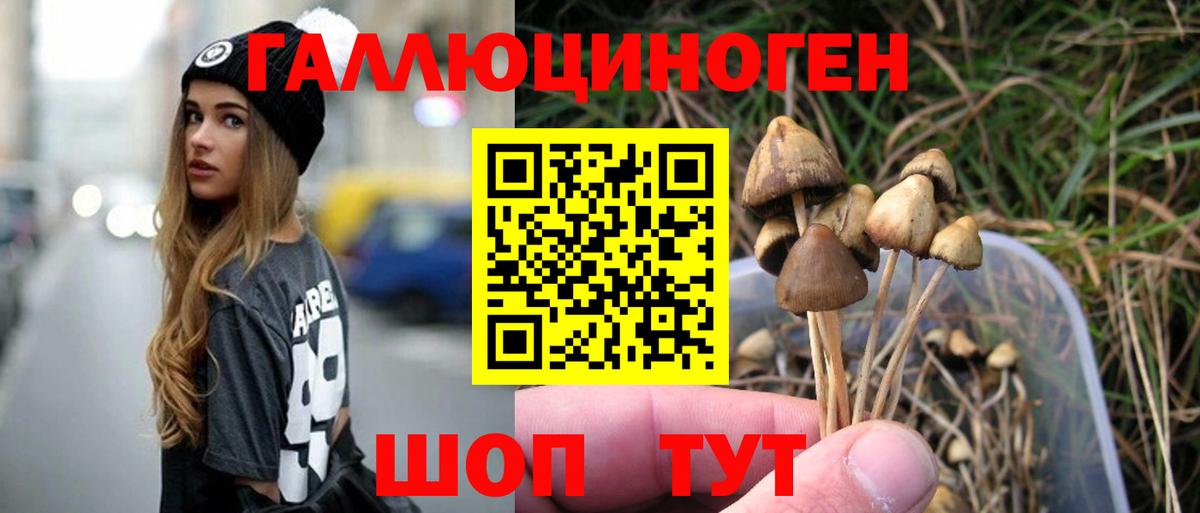 Галлюциногенные грибы мухоморы Александров