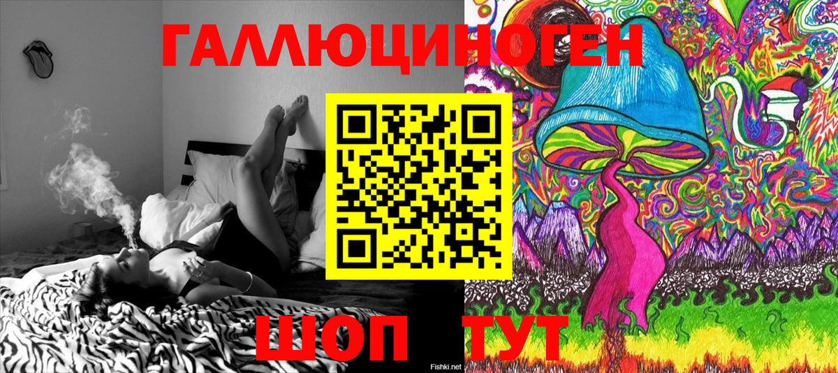 Александров  Псилоцибиновые грибы Psilocybe  Вход с VPN 
